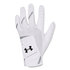 Under Armour Iso-chill glove_6